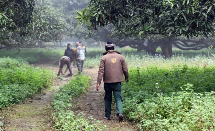 Village community